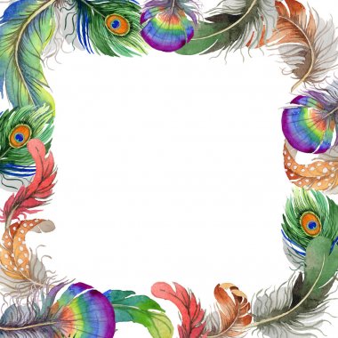 Suluboya kuş kanat tüy çerçevesinden.