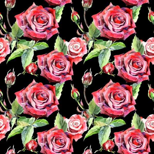 Wildflower τριαντάφυλλο λουλούδι μοτίβο σε στυλ υδροχρώματος. — Φωτογραφία Αρχείου