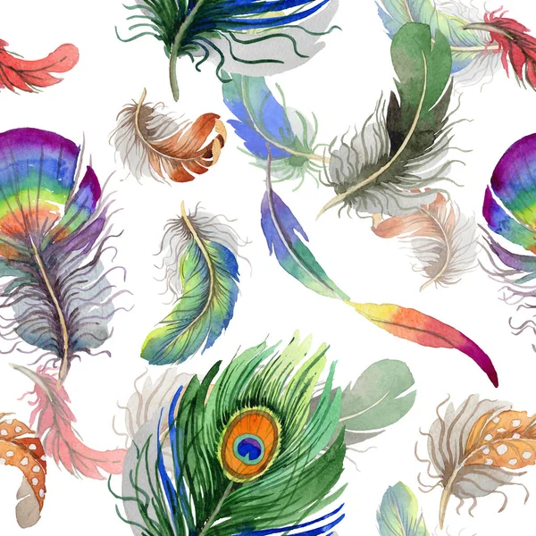 Watercolor bird feather pattern from wing. — Stock Photo, Image