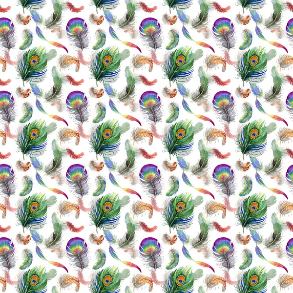 Watercolor bird feather pattern from wing. — Stock Photo, Image