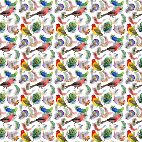 Suluboya kuş tüyü desen Wing.