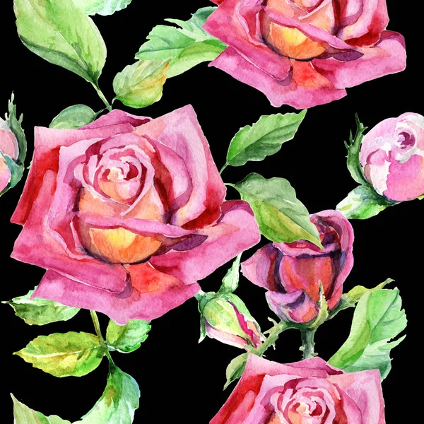 Дика квітка троянди квітковий візерунок в акварельному стилі . — стокове фото