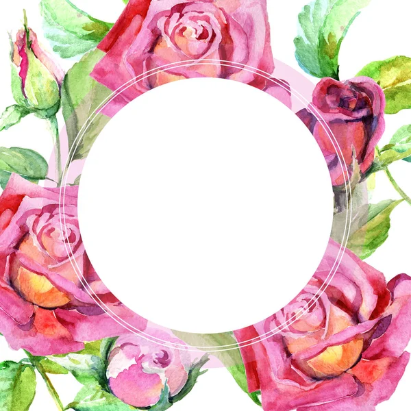 Wildflower rose flower frame in a watercolor style.