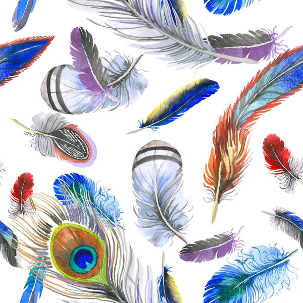 Watercolor bird feather pattern from wing. — Stock Photo, Image