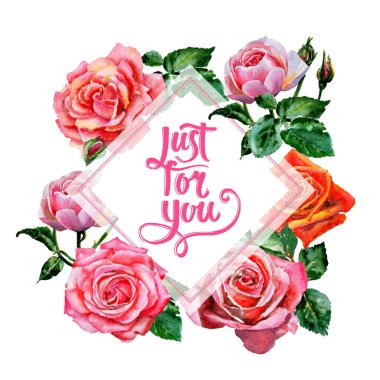 Kır çiçeği gül çiçek çerçeve suluboya tarzında.