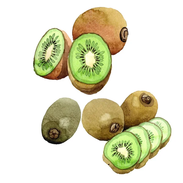 Kiwi esotico frukt selvatico in uno stile ad acquerello isolato . — Foto Stock