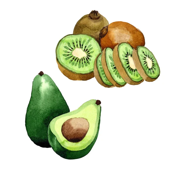Kiwi esotico e avocado modello frukt selvaggio in stile acquerello . — Foto Stock
