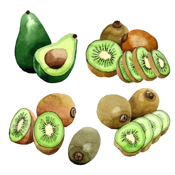 Kiwi esotico e avocado modello frukt selvaggio in stile acquerello . — Foto Stock