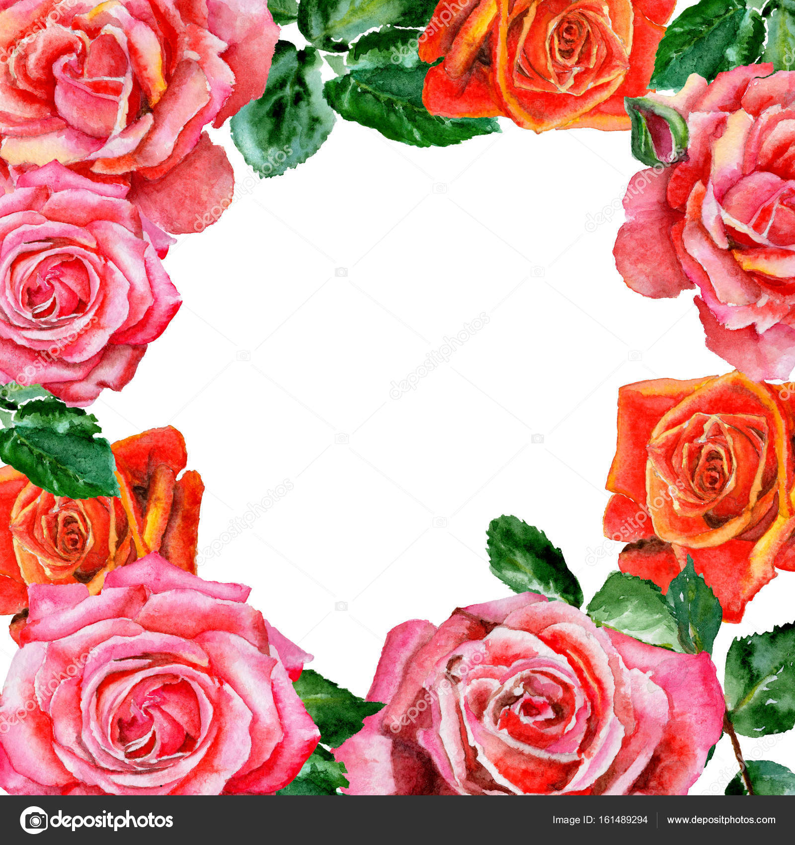 水彩風の野生の花バラの花のフレーム ストック写真 C Mystocks