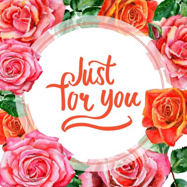 Kır çiçeği gül çiçek çerçeve suluboya tarzında.