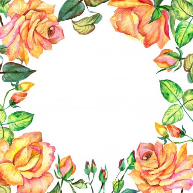 Kır çiçeği gül çiçek çerçeve suluboya tarzında.