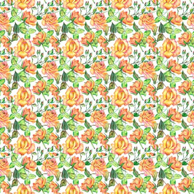 Kır çiçeği gül çiçek deseni suluboya tarzında.