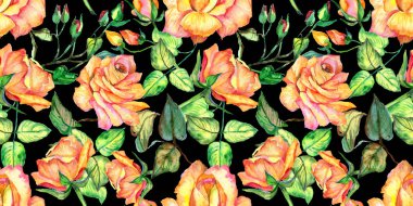 Kır çiçeği gül çiçek deseni suluboya tarzında.