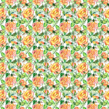 Kır çiçeği gül çiçek deseni suluboya tarzında.