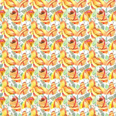 Kır çiçeği gül çiçek deseni suluboya tarzında.