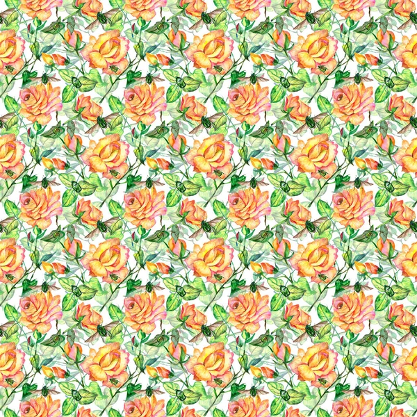 Kır çiçeği gül çiçek deseni suluboya tarzında.