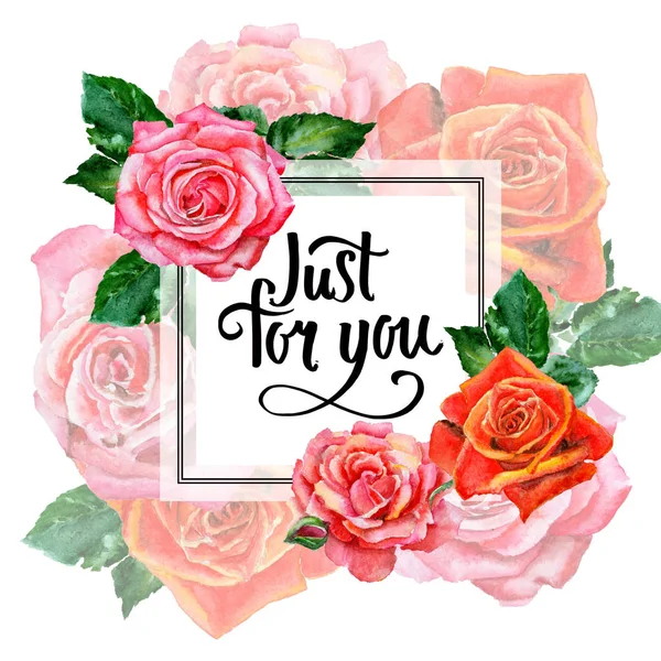 Kır çiçeği gül çiçek çerçeve suluboya tarzında.