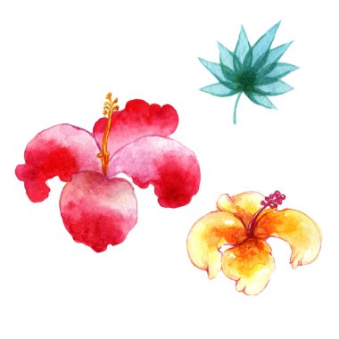 Tropikal Hawaii palmiye ağacı izole bir suluboya tarzında bırakır..