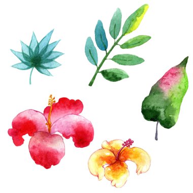 Tropikal Hawaii palmiye ağacı izole bir suluboya tarzında bırakır..