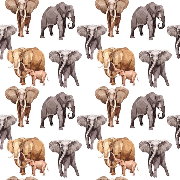 Exotiska elefant vilda djur mönster i akvarell stil. — Stockfoto