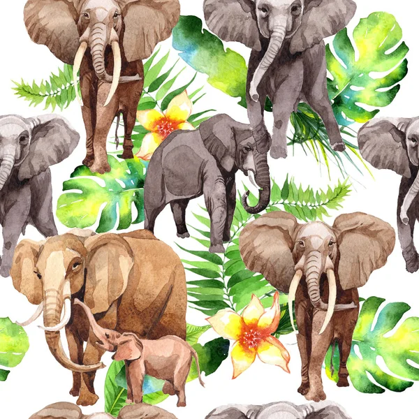 Elefante exótico padrão animal selvagem em um estilo aquarela . — Fotografia de Stock