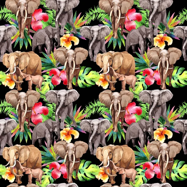 Exotic  elephant wild animal pattern in a watercolor style. — Stock Photo, Image