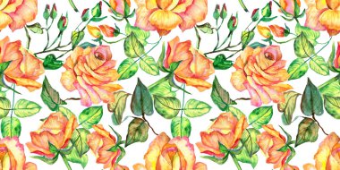 Kır çiçeği gül çiçek deseni suluboya tarzında.