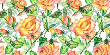 Kır çiçeği gül çiçek deseni suluboya tarzında.