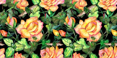 Kır çiçeği gül çiçek deseni suluboya tarzında.