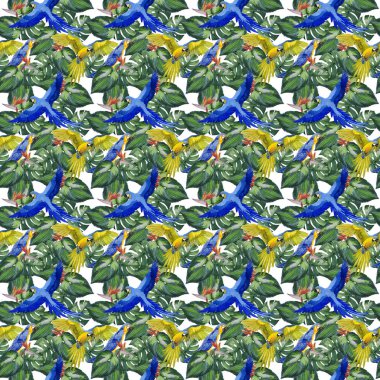 Gökyüzü kuş papağan desende bir yaban hayatı suluboya stili tarafından.