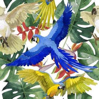 Gökyüzü kuş papağan desende bir yaban hayatı suluboya stili tarafından.