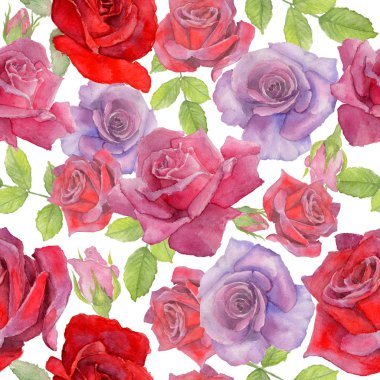 Kır çiçeği rosa çiçek deseni suluboya tarzında.