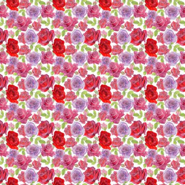 Kır çiçeği rosa çiçek deseni suluboya tarzında.