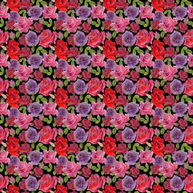 Kır çiçeği rosa çiçek deseni suluboya tarzında.