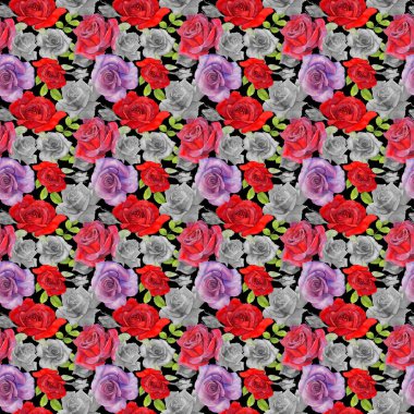 Kır çiçeği rosa çiçek deseni suluboya tarzında.