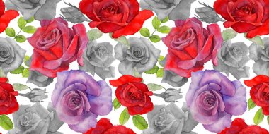 Kır çiçeği rosa çiçek deseni suluboya tarzında.