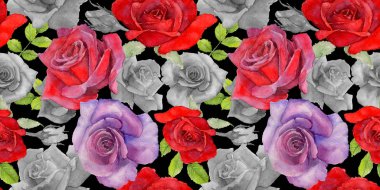 Kır çiçeği rosa çiçek deseni suluboya tarzında.