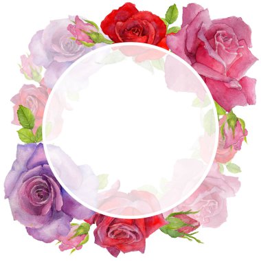 Kır çiçeği rosa çiçek çerçeve suluboya tarzında.