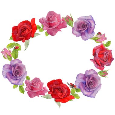 Kır çiçeği rosa çiçek çerçeve suluboya tarzında.