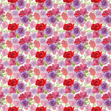 Kır çiçeği rosa çiçek deseni suluboya tarzında.