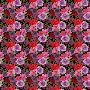 Kır çiçeği rosa çiçek deseni suluboya tarzında.