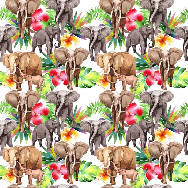 水彩風の象のエキゾチックな野生動物のパターン. — ストック写真