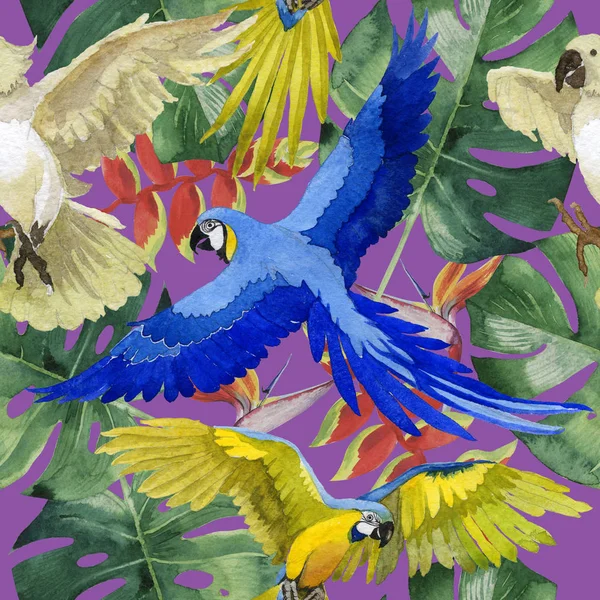 Niebo ptak papuga wzór w dzikich przez stylu przypominającym akwarele. — Zdjęcie stockowe
