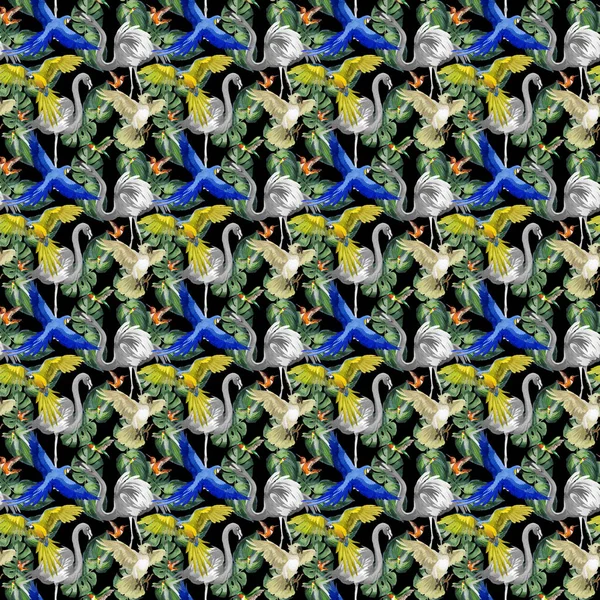 Sky bird parrot pattern in a wildlife by watercolor style. — Stock Photo, Image