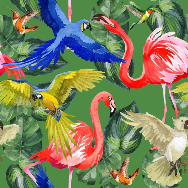 Sky bird parrot pattern in a wildlife by watercolor style. — Stock Photo, Image