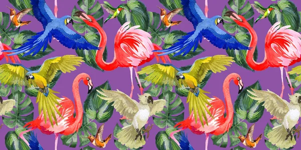 Sky bird parrot pattern in a wildlife by watercolor style. — Stock Photo, Image