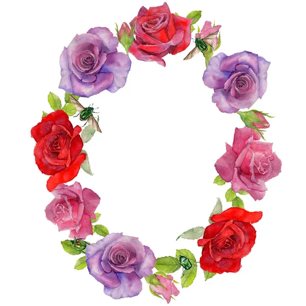 Kır çiçeği rosa çiçek çelenk suluboya tarzında.