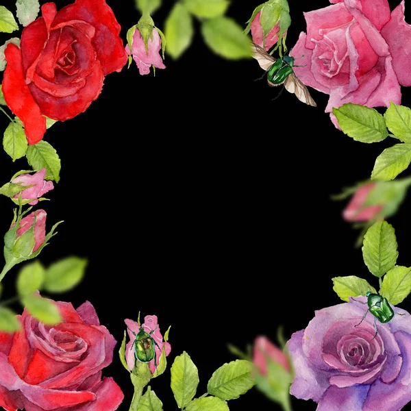 Wildflower rosa flower frame in a watercolor style. — Stock Photo, Image