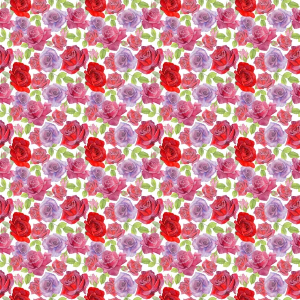 Padrão de flor rosa Wildflower em um estilo aquarela . — Fotografia de Stock