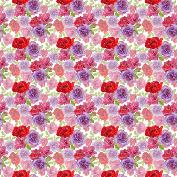 Wildflower rosa λουλούδι μοτίβο σε στυλ υδροχρώματος. — Φωτογραφία Αρχείου